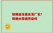 锦鲤益生菌批发厂家？锦鲤水霉病传染吗