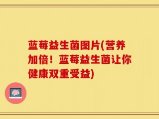 蓝莓益生菌图片(营养加倍！蓝莓益生菌让你健康双重受益)