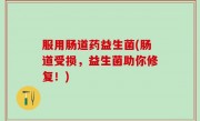 服用肠道药益生菌(肠道受损，益生菌助你修复！)
