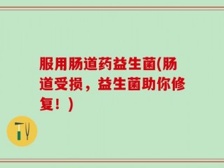 服用肠道药益生菌(肠道受损，益生菌助你修复！)