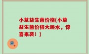 小草益生菌价格(小草益生菌价格大跳水，惊喜来袭！)