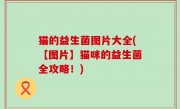 猫的益生菌图片大全(【图片】猫咪的益生菌全攻略！)