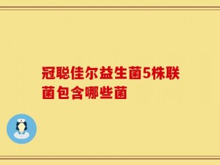 冠聪佳尔益生菌5株联菌包含哪些菌