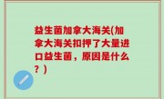 益生菌加拿大海关(加拿大海关扣押了大量进口益生菌，原因是什么？)