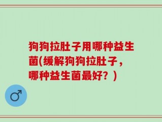 狗狗拉肚子用哪种益生菌(缓解狗狗拉肚子，哪种益生菌最好？)