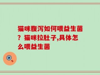 猫咪腹泻如何喂益生菌？猫咪拉肚子,具体怎么喂益生菌