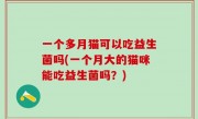 一个多月猫可以吃益生菌吗(一个月大的猫咪能吃益生菌吗？)
