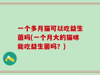 一个多月猫可以吃益生菌吗(一个月大的猫咪能吃益生菌吗？)