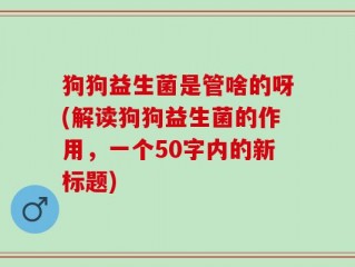 狗狗益生菌是管啥的呀(解读狗狗益生菌的作用