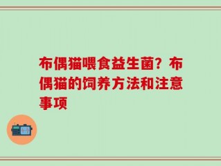 布偶猫喂食益生菌？布偶猫的饲养方法和注意事项