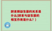 酵素跟益生菌的关系是什么(酵素与益生菌的相互作用是什么？)
