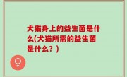 犬猫身上的益生菌是什么(犬猫所需的益生菌是什么？)
