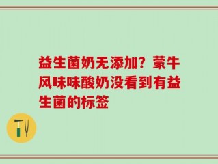 益生菌奶无添加？蒙牛风味味酸奶没看到有益生菌的标签