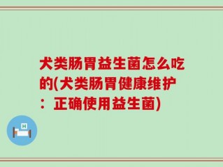 犬类肠胃益生菌怎么吃的(犬类肠胃健康维护：正确使用益生菌)