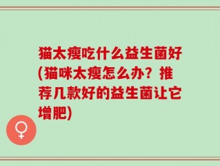 猫太瘦吃什么益生菌好(猫咪太瘦怎么办？推荐几款好的益生菌让它增肥)
