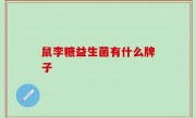 鼠李糖益生菌有什么牌子