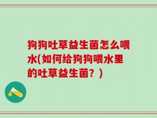 狗狗吐草益生菌怎么喂水(如何给狗狗喂水里的吐草益生菌？)
