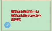 葆婴益生菌都管什么(葆婴益生菌的功效及作用详解)