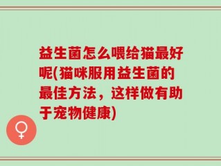 益生菌怎么喂给猫最好呢(猫咪服用益生菌的最佳方法，这样做有助于宠物健康)