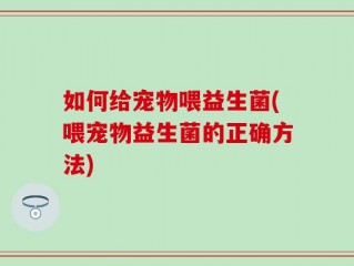 如何给宠物喂益生菌(喂宠物益生菌的正确方法)