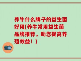 养牛什么牌子的益生菌好用(养牛常用益生菌品牌推荐，助您提高养殖效益！)