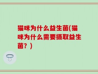 猫咪为什么益生菌(猫咪为什么需要摄取益生菌？)