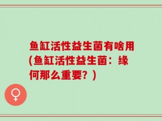 鱼缸活性益生菌有啥用(鱼缸活性益生菌：缘何那么重要？)