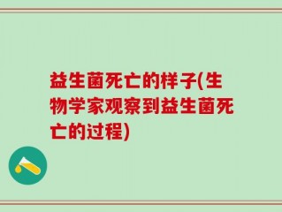 益生菌死亡的样子(生物学家观察到益生菌死亡的过程)
