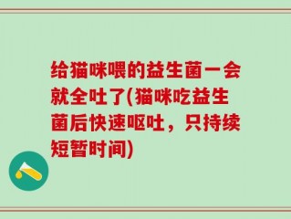 给猫咪喂的益生菌一会就全吐了(猫咪吃益生菌后快速呕吐，只持续短暂时间)