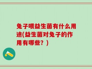 兔子喂益生菌有什么用途(益生菌对兔子的作用有哪些？)