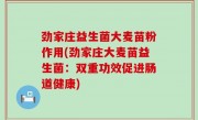 劲家庄益生菌大麦苗粉作用(劲家庄大麦苗益生菌：双重功效促进肠道健康)