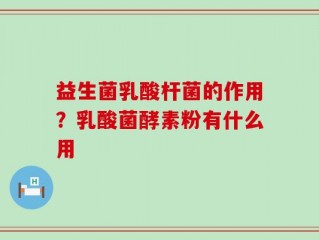 益生菌乳酸杆菌的作用？乳酸菌酵素粉有什么用