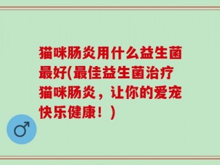 猫咪肠炎用什么益生菌最好(最佳益生菌治疗猫咪肠炎，让你的爱宠快乐健康！)
