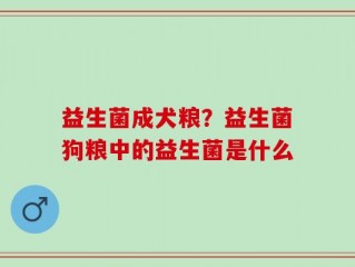 益生菌成犬粮？益生菌狗粮中的益生菌是什么