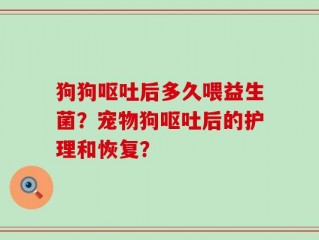 狗狗呕吐后多久喂益生菌？宠物狗呕吐后的护理和恢复？