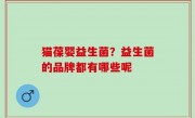 猫葆婴益生菌？益生菌的品牌都有哪些呢