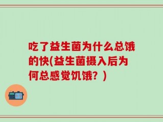 吃了益生菌为什么总饿的快(益生菌摄入后为何总感觉饥饿？)