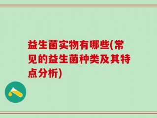 益生菌实物有哪些(常见的益生菌种类及其特点分析)