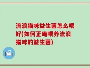 流浪猫咪益生菌怎么喂好(如何正确喂养流浪猫咪的益生菌)