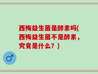 西梅益生菌是酵素吗(西梅益生菌不是酵素，究竟是什么？)