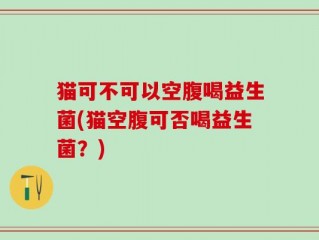 猫可不可以空腹喝益生菌(猫空腹可否喝益生菌？)