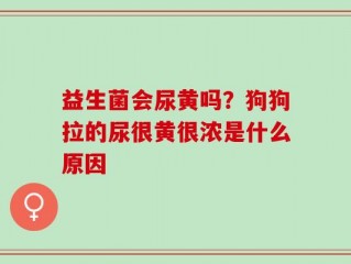 益生菌会尿黄吗？狗狗拉的尿很黄很浓是什么原因