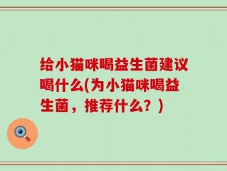 给小猫咪喝益生菌建议喝什么(为小猫咪喝益生菌，推荐什么？)