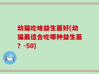 幼猫吃啥益生菌好(幼猫最适合吃哪种益生菌？-50)