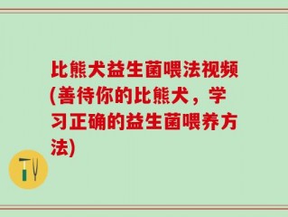比熊犬益生菌喂法视频(善待你的比熊犬，学习正确的益生菌喂养方法)