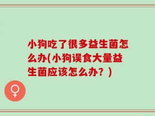 小狗吃了很多益生菌怎么办(小狗误食大量益生菌应该怎么办？)