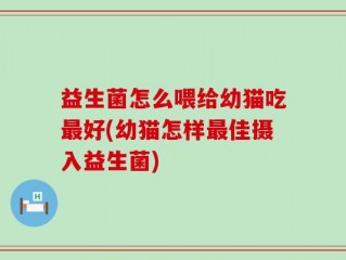 益生菌怎么喂给幼猫吃最好(幼猫怎样最佳摄入益生菌)