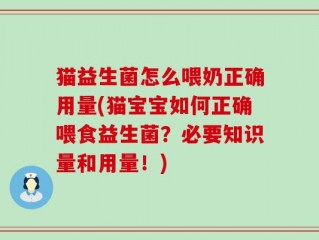 猫益生菌怎么喂奶正确用量(猫宝宝如何正确喂食益生菌？必要知识量和用量！)