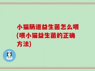 小猫肠道益生菌怎么喂(喂小猫益生菌的正确方法)
