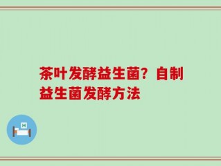 茶叶发酵益生菌？自制益生菌发酵方法